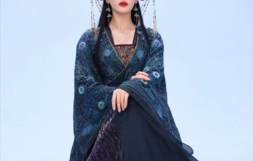 迪丽热巴在《白日提灯》中的表现获得了哪些评价？