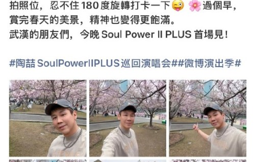 陶喆武汉樱花树下忘我旋转自拍，网友：这不就是我吗？