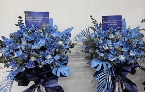 张杰演唱会获众星送花篮应援