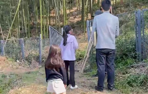 周一围朱丹全家上山挖笋，3个孩子活泼好动，朱丹穿短裤活力拉满 