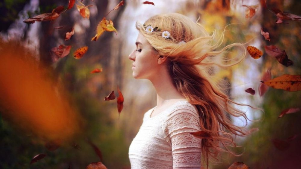 黄晓明回应考博失利今年再战：想做我们家第一个博士