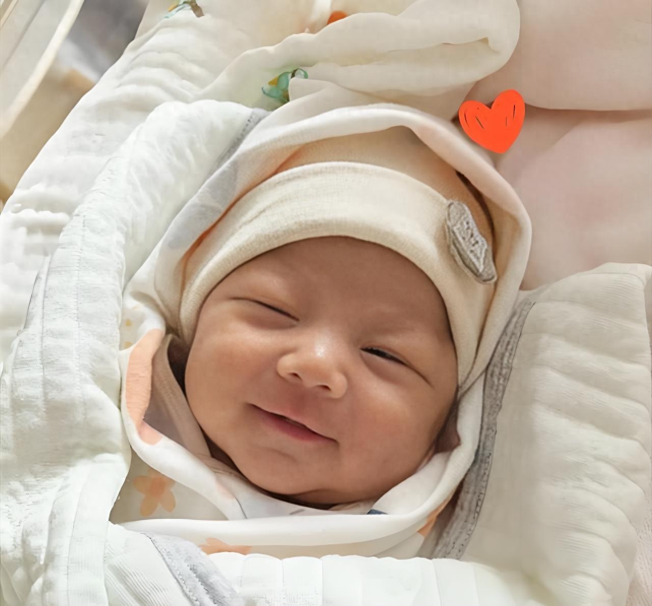 汪小菲马筱梅基因太绝!家中“小炸毛”萌翻全网这颜值太招人疼! 